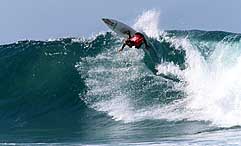 Largest Encyclopedia of Surfing