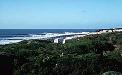 Largest Encyclopedia of Surfing