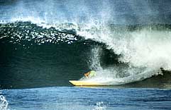 Largest Encyclopedia of Surfing