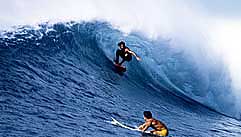 Largest Encyclopedia of Surfing