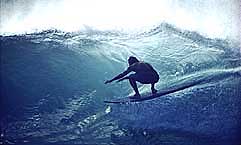 Largest Encyclopedia of Surfing