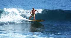 Largest Encyclopedia of Surfing