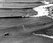 Largest Encyclopedia of Surfing