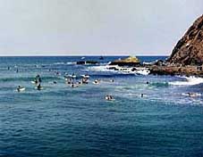 Largest Encyclopedia of Surfing