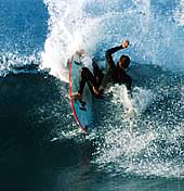 Largest Encyclopedia of Surfing