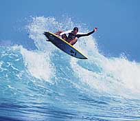 Largest Encyclopedia of Surfing