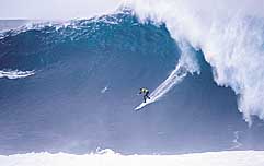 Largest Encyclopedia of Surfing