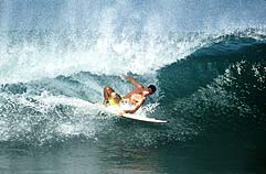 Largest Encyclopedia of Surfing