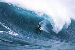 Largest Encyclopedia of Surfing