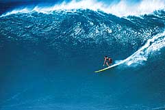 Largest Encyclopedia of Surfing