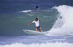 Largest Encyclopedia of Surfing