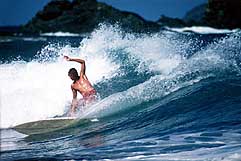 Largest Encyclopedia of Surfing