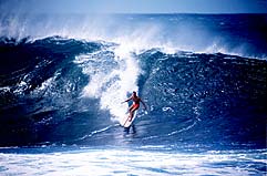 Largest Encyclopedia of Surfing