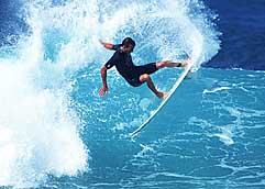 Largest Encyclopedia of Surfing