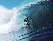 Largest Encyclopedia of Surfing