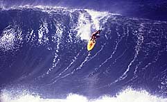 Largest Encyclopedia of Surfing
