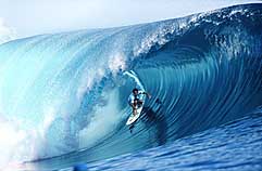 Largest Encyclopedia of Surfing