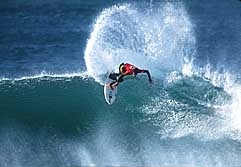 Largest Encyclopedia of Surfing