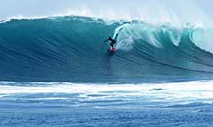 Largest Encyclopedia of Surfing