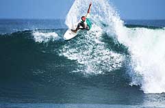 Largest Encyclopedia of Surfing