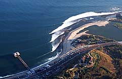 Largest Encyclopedia of Surfing