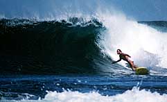 Largest Encyclopedia of Surfing