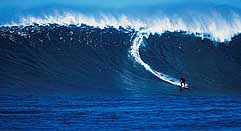 Largest Encyclopedia of Surfing
