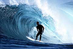Largest Encyclopedia of Surfing