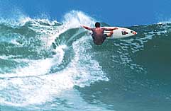 Largest Encyclopedia of Surfing