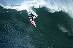 Largest Encyclopedia of Surfing