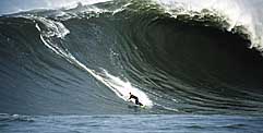 Largest Encyclopedia of Surfing