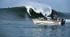 Largest Encyclopedia of Surfing