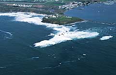 Largest Encyclopedia of Surfing