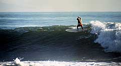 Largest Encyclopedia of Surfing