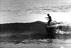 Largest Encyclopedia of Surfing