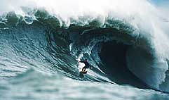 Largest Encyclopedia of Surfing