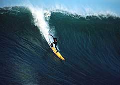 Largest Encyclopedia of Surfing
