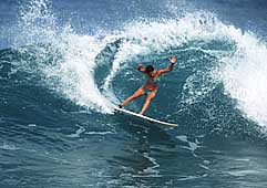 Largest Encyclopedia of Surfing