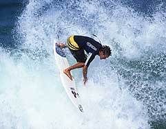 Largest Encyclopedia of Surfing