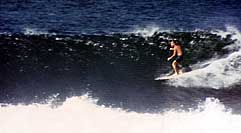 Largest Encyclopedia of Surfing
