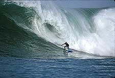 Largest Encyclopedia of Surfing