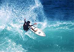 Largest Encyclopedia of Surfing