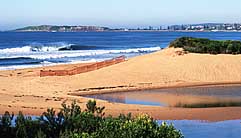 Largest Encyclopedia of Surfing