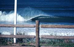 Largest Encyclopedia of Surfing