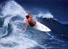 Largest Encyclopedia of Surfing