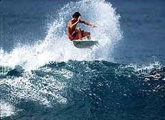 Largest Encyclopedia of Surfing