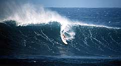Largest Encyclopedia of Surfing