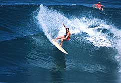 Largest Encyclopedia of Surfing