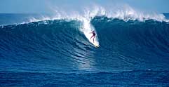 Largest Encyclopedia of Surfing