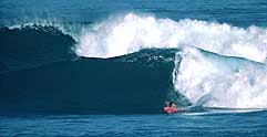 Largest Encyclopedia of Surfing